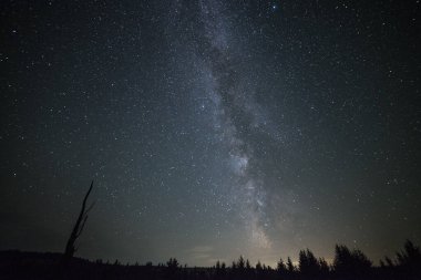 Ağaçların silueti ve gece gökyüzünde güzel bir Samanyolu. Uzun pozlama fotoğrafı