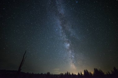 Ağaçların silueti ve gece gökyüzünde güzel bir Samanyolu. Uzun pozlama fotoğrafı