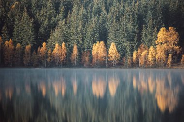 Ağaçlı ve yansımalı güzel sonbahar manzarası