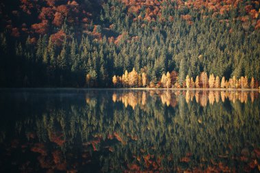 Gölde güzel bir sonbahar manzarası. doğal arkaplan.