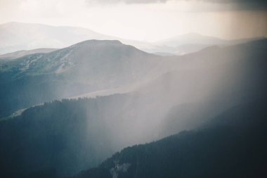 Dağlarda sisli bir ormanı olan güzel bir manzara.  