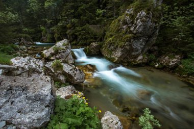 Dağ Nehri üzerinde güzel şelale