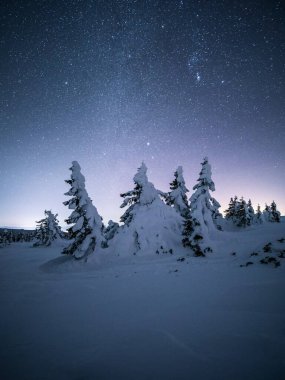 Dağlarda karla kaplı ağaçların gece manzarası