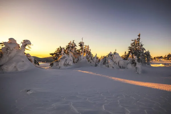 Piękny Zimowy Krajobraz Górach — Zdjęcie stockowe
