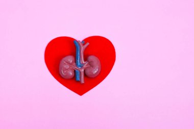 Dünya Böbrek Günü, Ulusal Organ Bağışı Günü, Bağış Konsepti