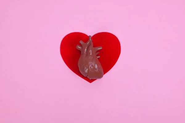 Человеческое Сердце Внутренний Орган Орган Сердца Фоне Формы Сердца Здоровое — стоковое фото