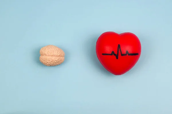 Человеческий Мозг Пульс Сердца Здоровый Мозг Здоровое Сердечное Общение Эмоциональное — стоковое фото