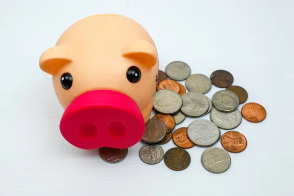 Cute piggy savings, coins, manage money and Plan your savings ideas for savings, growth, economy, business and investing, saving money wealth and financial concept.