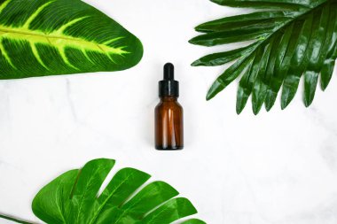 Kozmetik doğa cilt bakımı ve temel yağ aromaterapisi. Organik doğal bilim güzellik ürünü. Bitkisel alternatif tıp, doğal yapraklar ile düz düzlük..