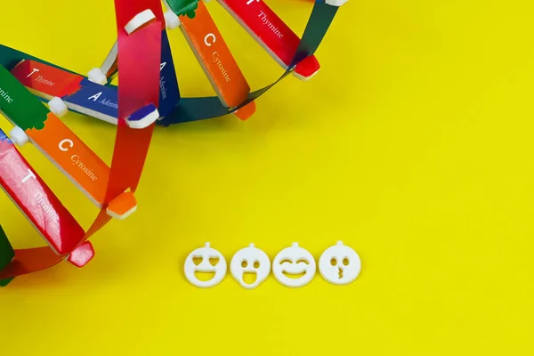 Structure Hélice Adn Expression Émotionnelle Emoji Caractères Tempérament Déterminés Par Images De Stock Libres De Droits