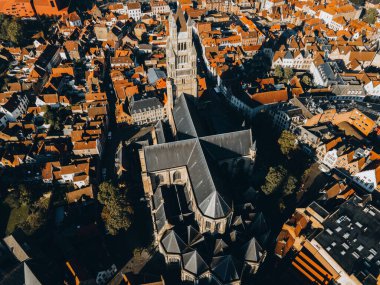 Belçika 'nın Bruges kentindeki St. Salvador Kilisesi