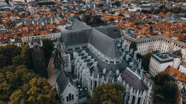 Notre Dame Treille Kathedraal Lille Frankrijk — Stockfoto