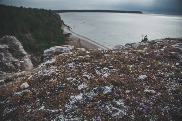 Погляд Шведський Острів Готланд — стокове фото