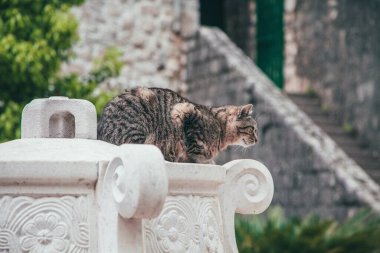 Karadağ 'da Kotor' un Eski Kasabası 'nın manzaraları