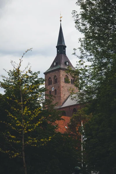 Katedra Canuta Odense Dania Funen — Zdjęcie stockowe