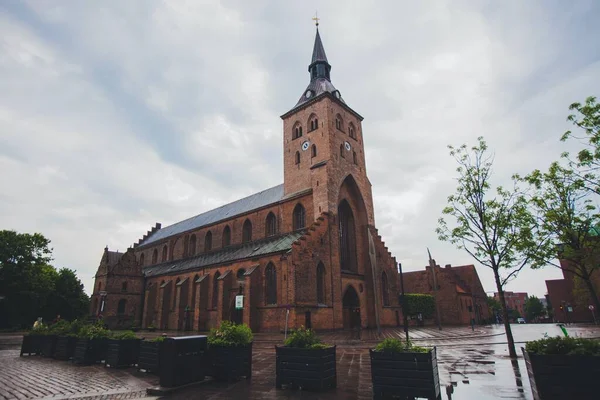 丹麦欧登塞的圣卡努特大教堂 — 图库照片