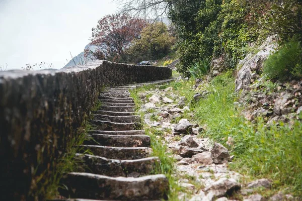 Karadağ 'daki Kotor Merdiveninden Kotor' un Vizörleri