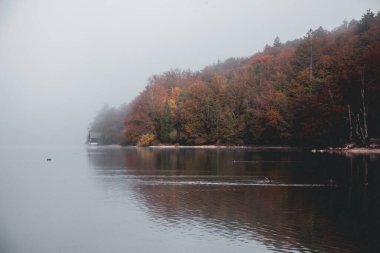 Slovenya 'daki Triglav Ulusal Parkı' nda Bohinj Gölü manzaraları