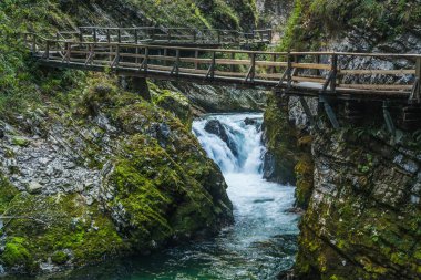 Slovenya 'daki Triglav Ulusal Parkı' nda Vintgar Vadisi (Soteska Vintgar)