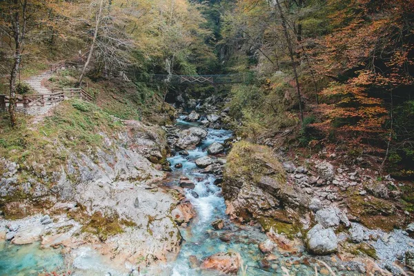 Gargantas Tolmin Parque Nacional Triglav Eslovenia —  Fotos de Stock