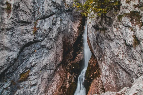 Bron Van Soca Rivier Triglav Nationaal Park Slovenië — Stockfoto