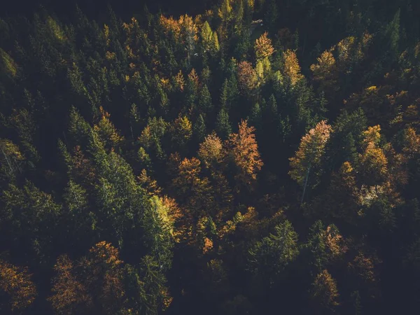 Slovenya 'daki Triglav Ulusal Parkı' ndan görüntüler