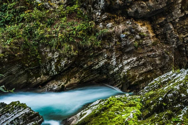 Garganta Vintgar Soteska Vintgar Parque Nacional Triglav Eslovenia —  Fotos de Stock