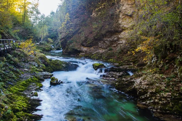 Garganta Vintgar Soteska Vintgar Parque Nacional Triglav Eslovenia —  Fotos de Stock