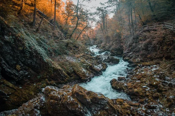 Slovenya Daki Triglav Ulusal Parkı Nda Vintgar Vadisi Soteska Vintgar — Stok fotoğraf