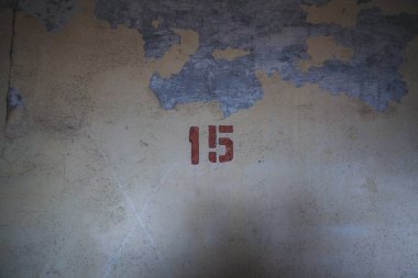 Çernobil Yasaklama Bölgesi 'nin etrafından görüntüler