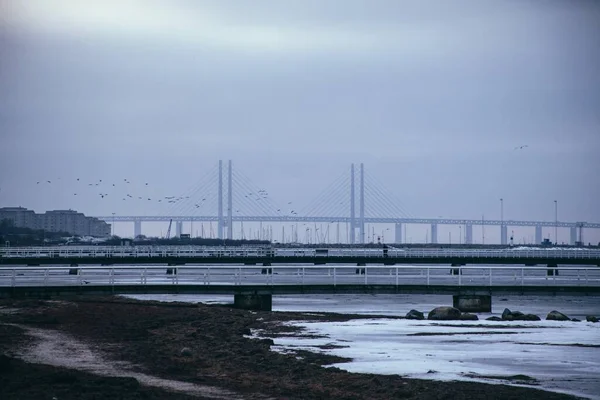 Мост Орешарски Вид Мальме Швеция — стоковое фото