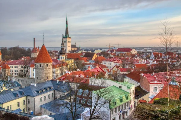 stock image View of Tallinn Old Town from Patkuli viewing platform