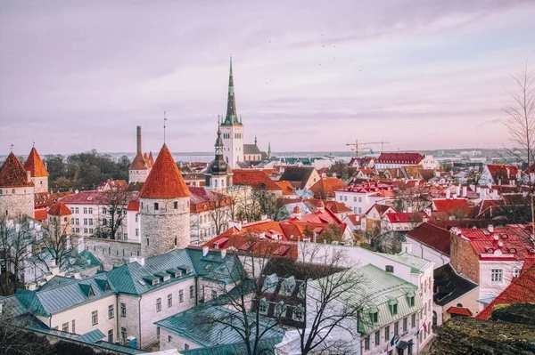 Pohled Tallinn Staré Město Vyhlídkové Plošiny Patkuli — Stock fotografie