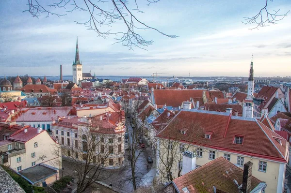 Kohtuotsa izleme platformundan Tallinn Eski Kasabasının görüntüsü