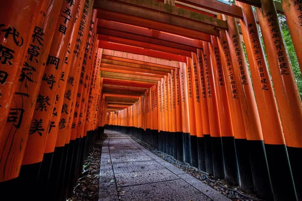 Portais Laranja Santuário Fushima Inari Taisha Kyoto Japão — Fotografia de Stock