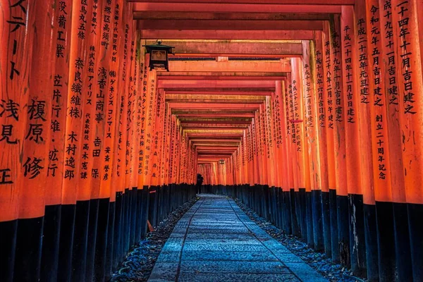 Portais Laranja Santuário Fushima Inari Taisha Kyoto Japão — Fotografia de Stock