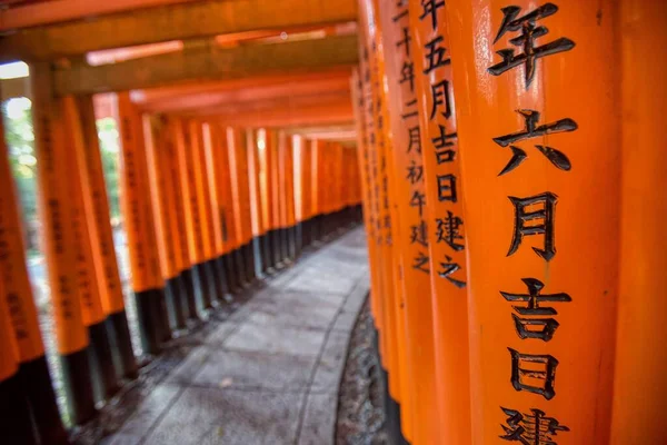 Orange Grindar Vid Fushima Enari Taisha Helgedomen Kyoto Japan — Stockfoto