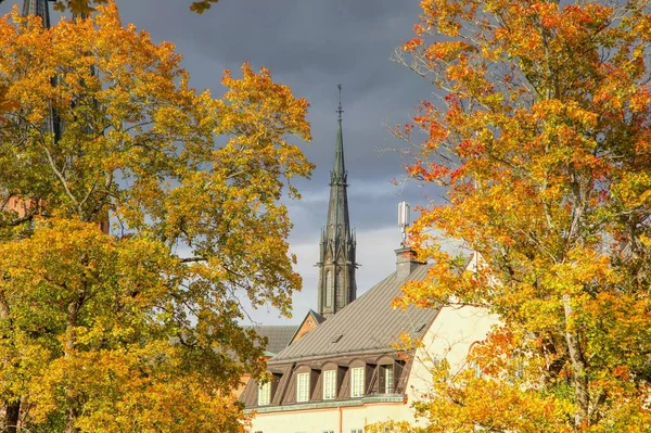 Autumn Leaves Uppsala Sweden — Stock Photo, Image