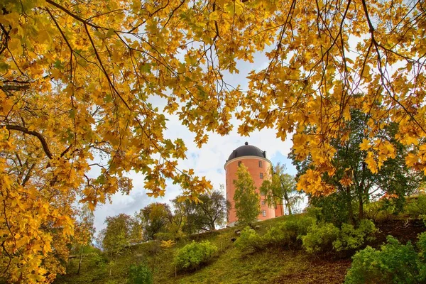 Herbstlaub Uppsala Schweden — Stockfoto