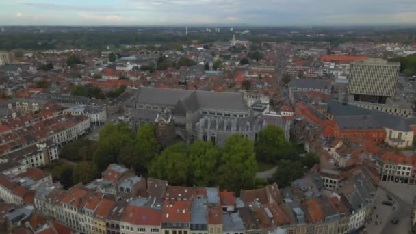 Notre Dame Treille Cathedral Lille France Drone — Stock video