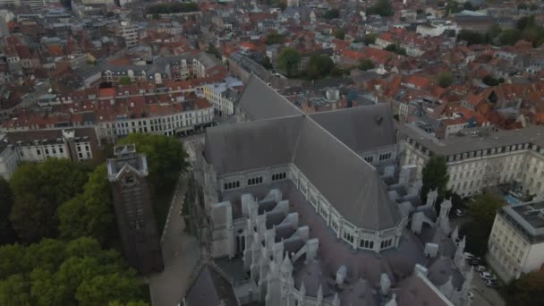 Catedral Notre Dame Treille Lille Francia Por Drone — Vídeos de Stock