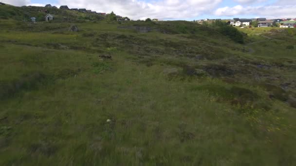 Svartafoss Waterfall Torshavn Faroe Islands Drone — стокове відео