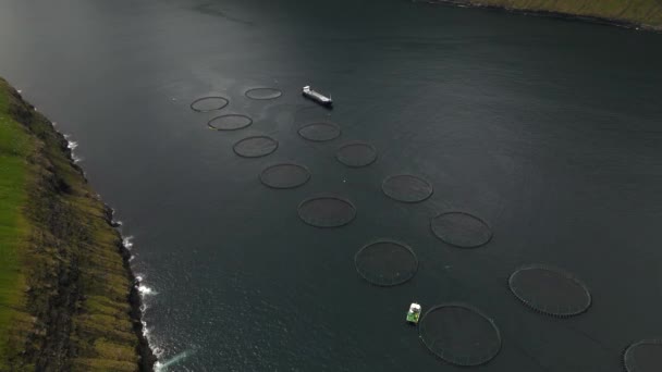 Cages Saumon Dans Les Îles Féroé Par Drone — Video