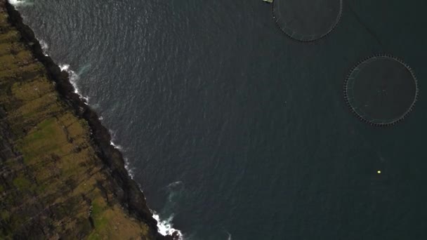Nın Faroe Adalarındaki Somon Kafesleri — Stok video