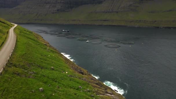 Gaiolas Salmão Nas Ilhas Faroé Por Drone — Vídeo de Stock