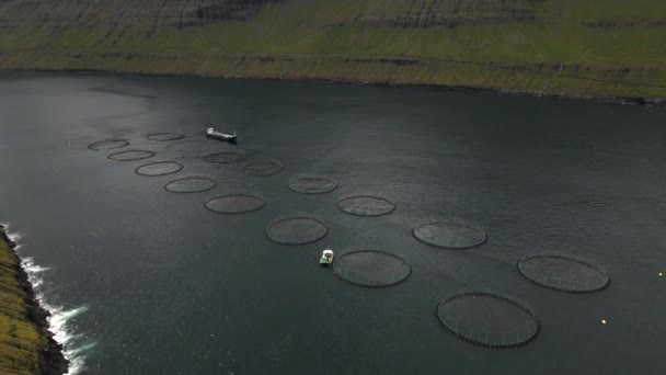 Lax Burar Färöarna Drone — Stockvideo