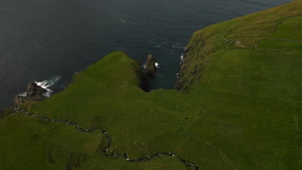 Cliffs Vidoy Faroe Islands Drone — стокове відео