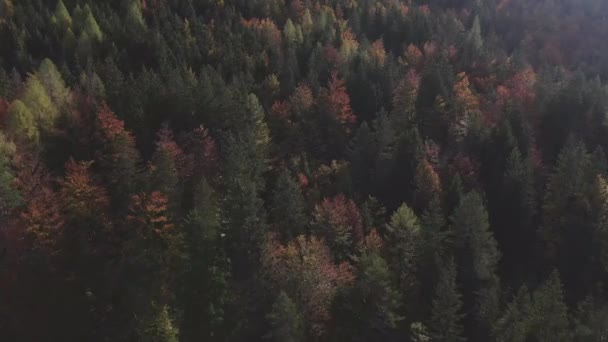 Národní Park Triglav Slovinsku Drone — Stock video