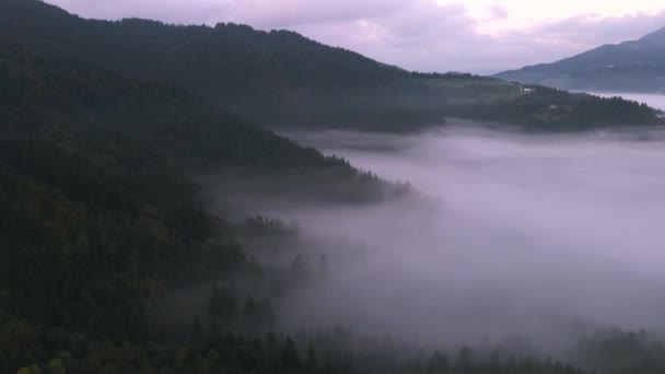 スロベニアのスヴェティ トマズ上空のフォグ ドローン — ストック動画