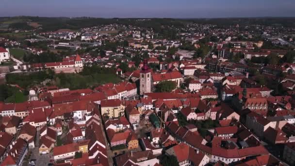 Вид Повітря Птуя Словенія Дроном — стокове відео